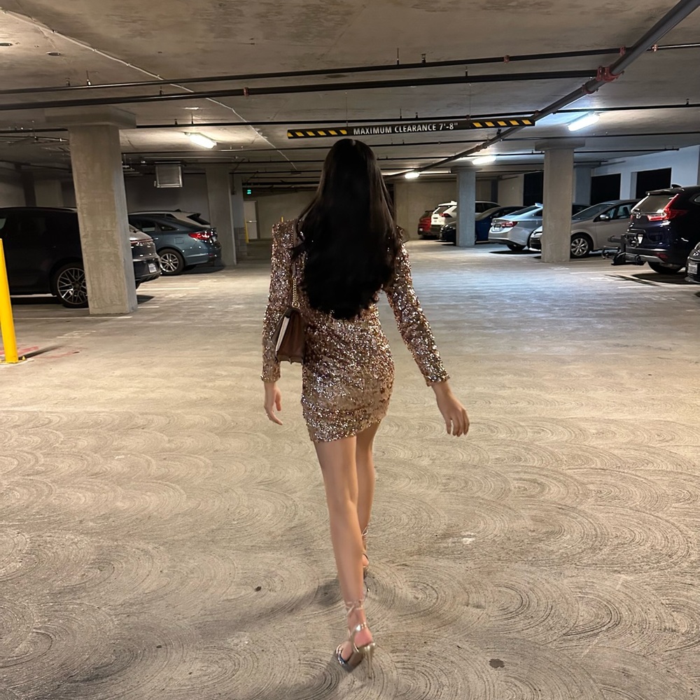 Rose Gold Dress - Picture 6 of 6